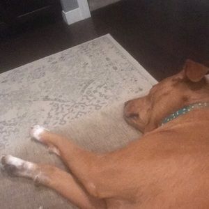 Meet your Posher, Chad